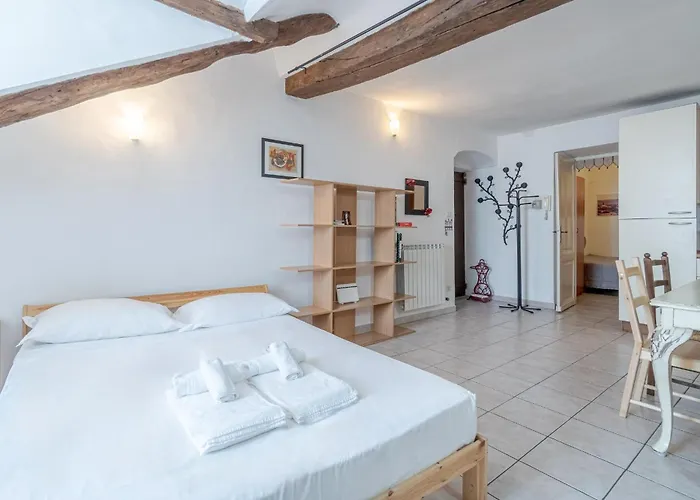 Guesthost - Palazzo Saluzzo Paesana Beautiful Flat Apartment Turin