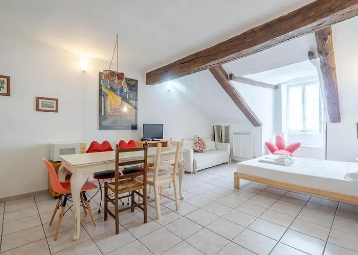 Guesthost - Palazzo Saluzzo Paesana Beautiful Flat Turin
