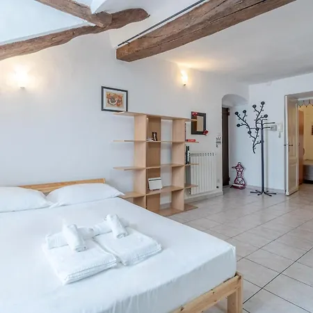Guesthost - Palazzo Saluzzo Paesana Beautiful Flat Apartmán Turín